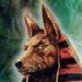   Anubis