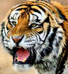 Аватар для Крымский Тигр
