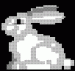   Crazy_RabbiT