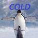 Аватар для COLD